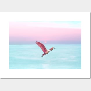 Roseate Spoonbill at Sunset Posters and Art